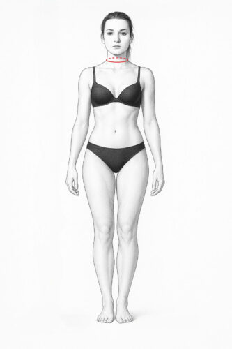 Halsweite: am Halsansatz, Schulterbreite: vom Halsansatz bis zur Armkugel